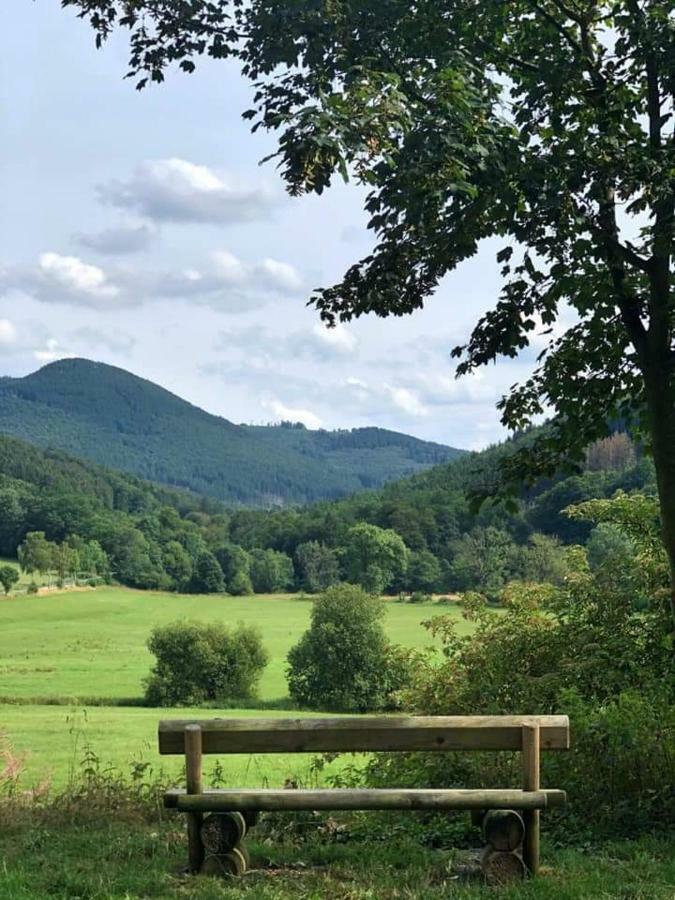 Landhaus Schlossberg 梅德巴赫 外观 照片